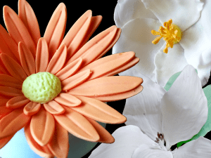 Project 8 - Flowers - Garden